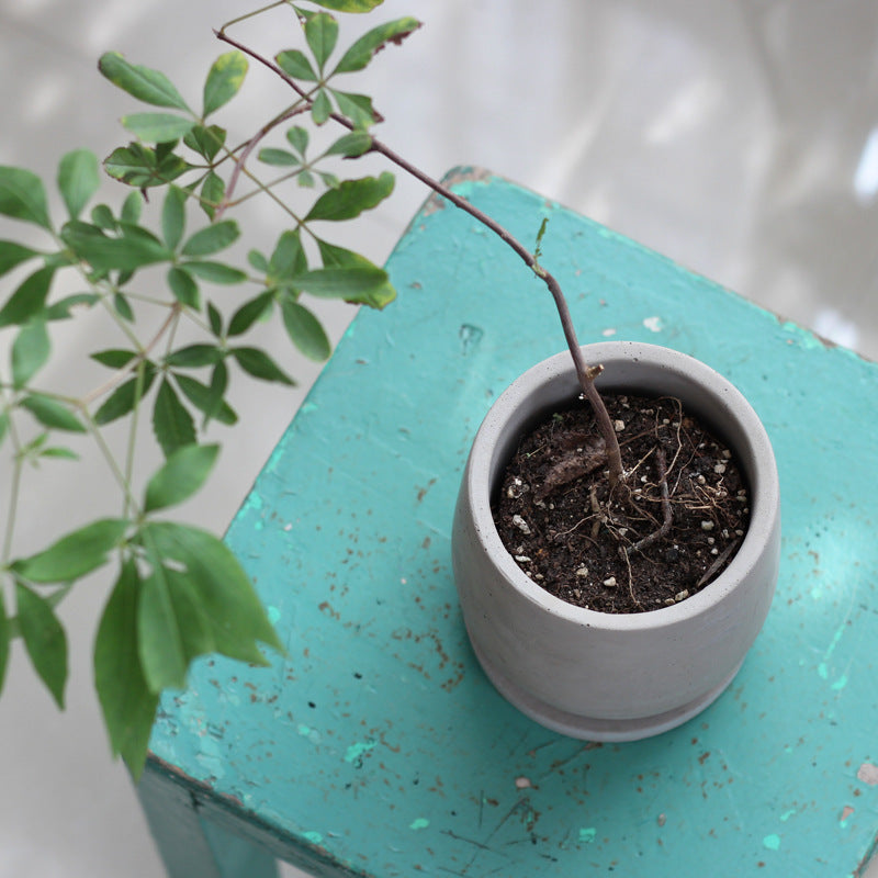 Cementpot 1