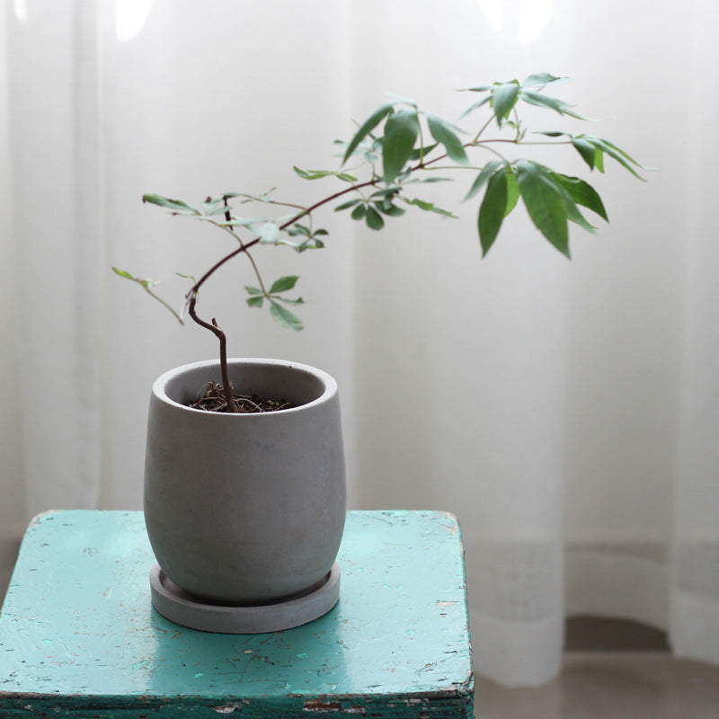 Cementpot 1