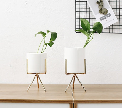 FlowerPot 1