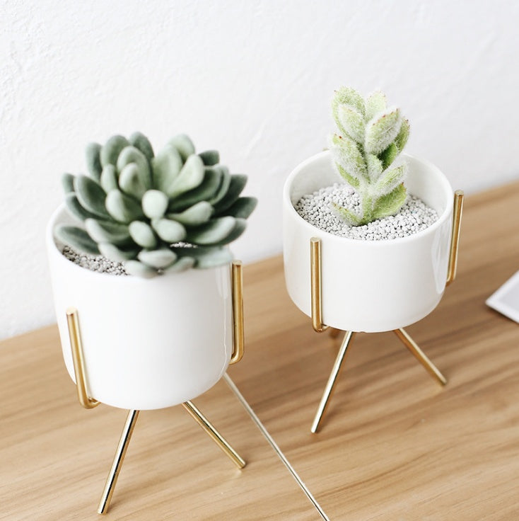 FlowerPot 1