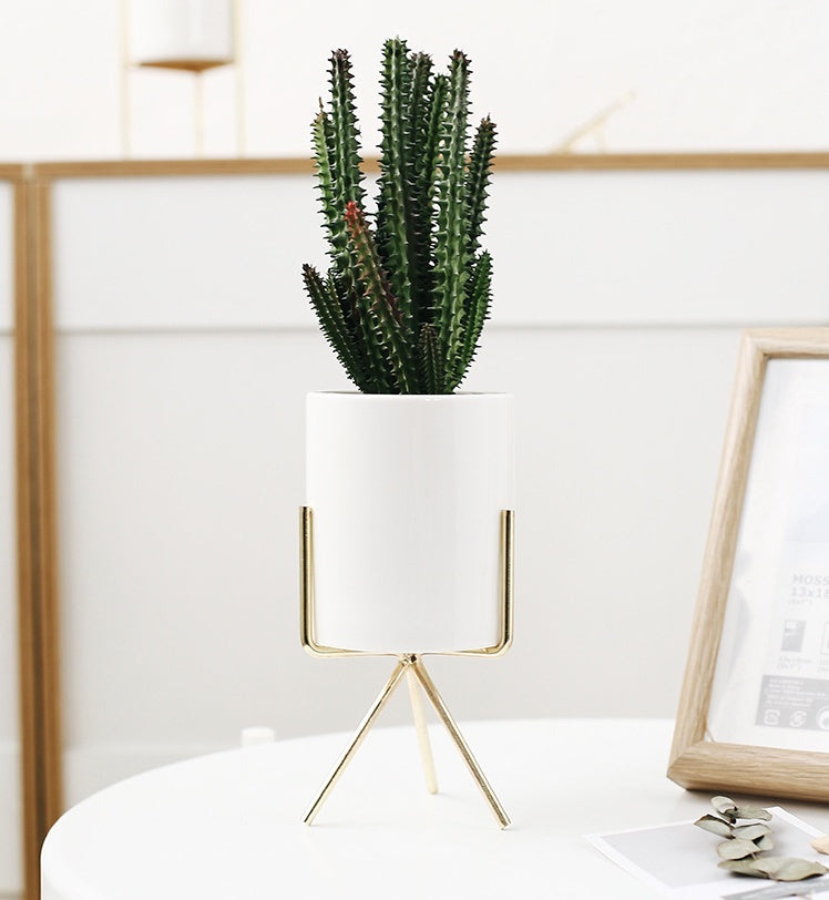 FlowerPot 1