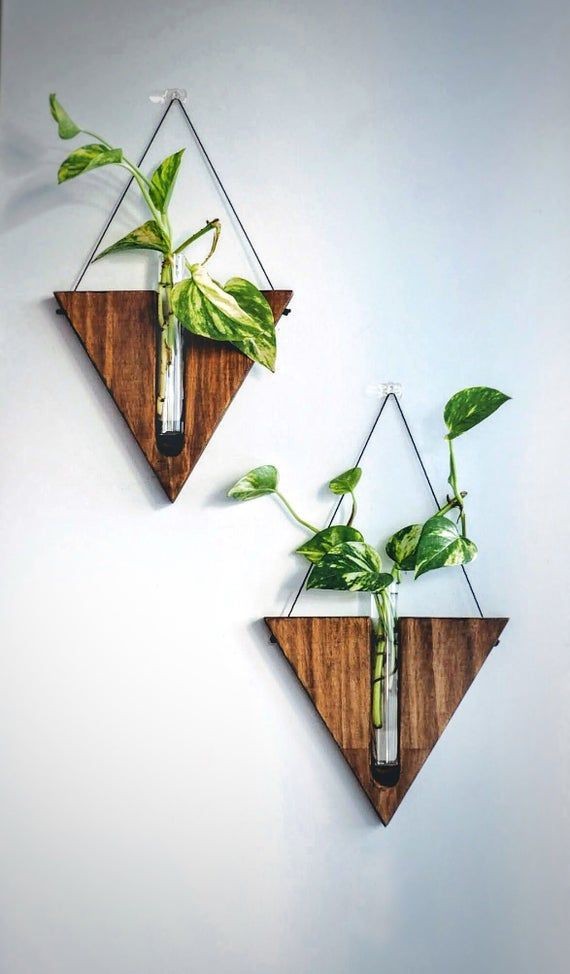 Plant Holder