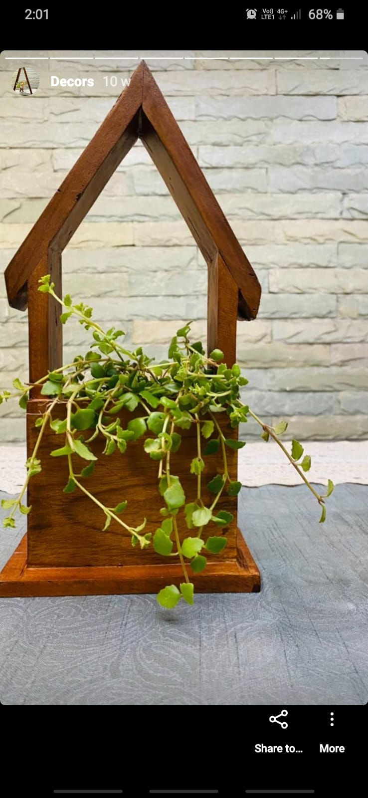 Plant Holder