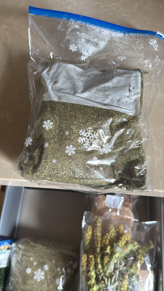 Oregano