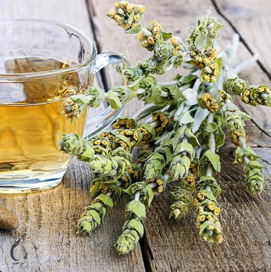 Mountain Tea from Olympus